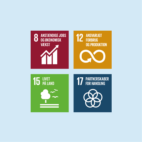 Verdensmål 8 12 15 17 460 X 460 Px